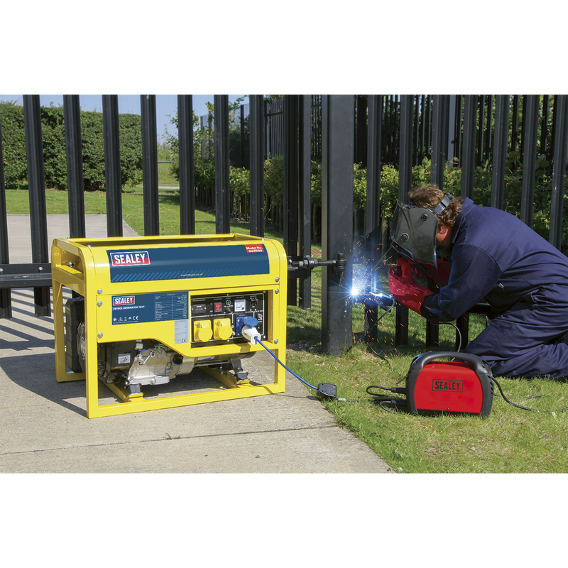 Generator 6000W 110/230V 13hp | Pipe Manufacturers Ltd..