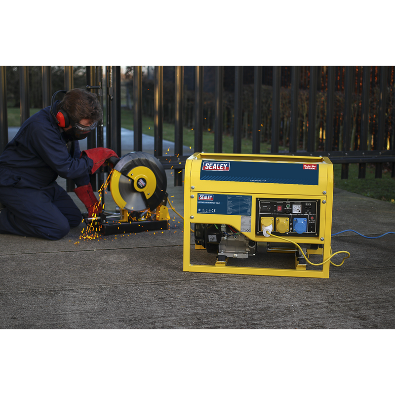 Generator 6000W 110/230V 13hp | Pipe Manufacturers Ltd..
