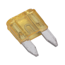 Automotive MINI Blade Fuse - Pack of 50 | Pipe Manufacturers Ltd..