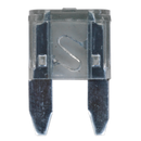 Automotive MINI Blade Fuse - Pack of 50 | Pipe Manufacturers Ltd..