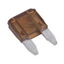 Automotive MINI Blade Fuse - Pack of 50 | Pipe Manufacturers Ltd..