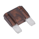 Automotive MAXI Blade Fuse Pack of 10 | Pipe Manufacturers Ltd..