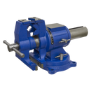 Vice Cast Iron Multifunction Swivel Base 150mm | Pipe Manufacturers Ltd..