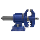 Vice Cast Iron Multifunction Swivel Base 150mm | Pipe Manufacturers Ltd..