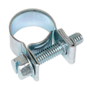 Mini Hose Clip ¯10-12mm Pack of 30 | Pipe Manufacturers Ltd..