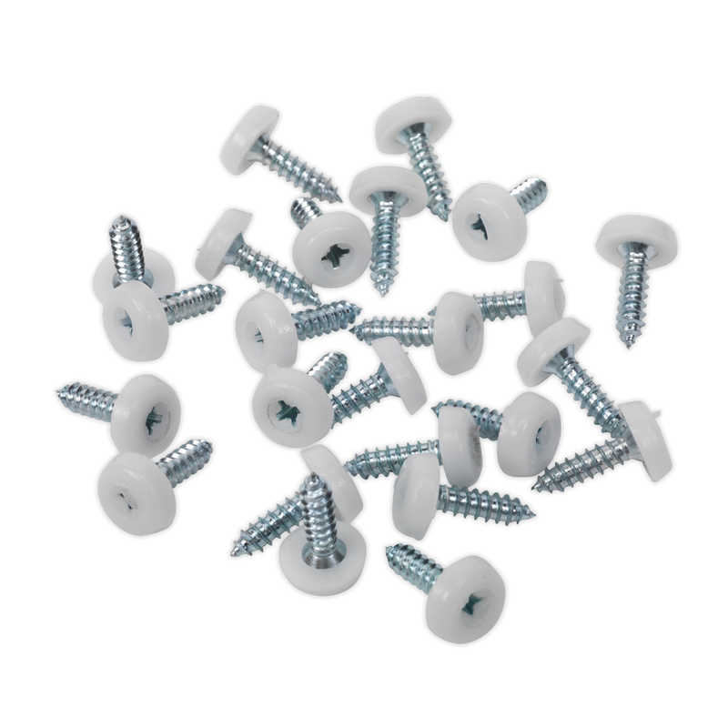 Numberplate Screw Plastic Enclosed Head 4.8 x 18mm White Pack of 50 | Pipe Manufacturers Ltd..