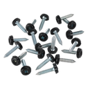 Numberplate Screw Plastic Enclosed Head 4.8 x 24mm Black Pack of 50 | Pipe Manufacturers Ltd..