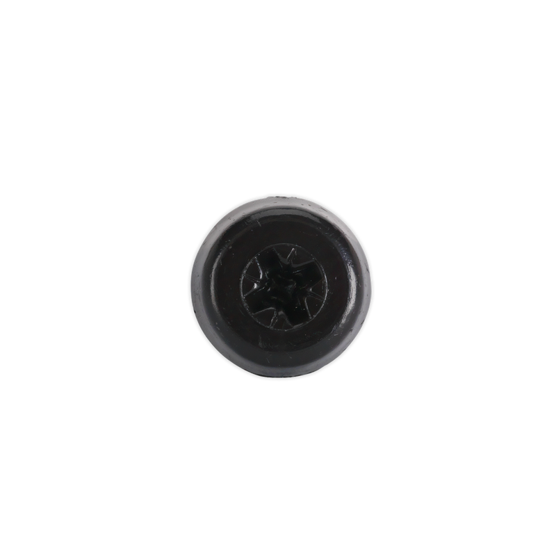 Numberplate Screw Plastic Enclosed Head 4.8 x 24mm Black Pack of 50 | Pipe Manufacturers Ltd..