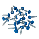 Numberplate Screw Plastic Enclosed Head 4.8 x 24mm Blue Pack of 50 | Pipe Manufacturers Ltd..