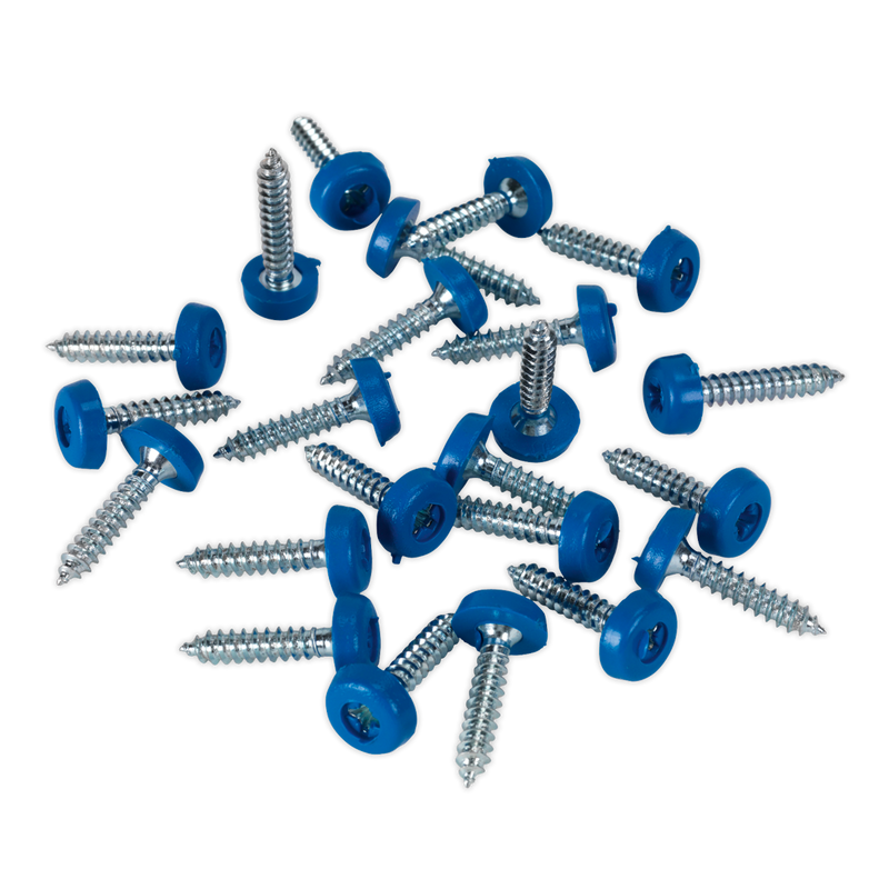 Numberplate Screw Plastic Enclosed Head 4.8 x 24mm Blue Pack of 50 | Pipe Manufacturers Ltd..