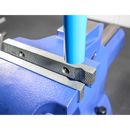 Vice 200mm Quick Action Swivel Base Cast Iron | Pipe Manufacturers Ltd..