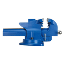 Vice 200mm Quick Action Swivel Base Cast Iron | Pipe Manufacturers Ltd..