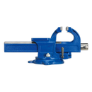 Vice 125mm Quick Action Swivel Base SG Iron | Pipe Manufacturers Ltd..