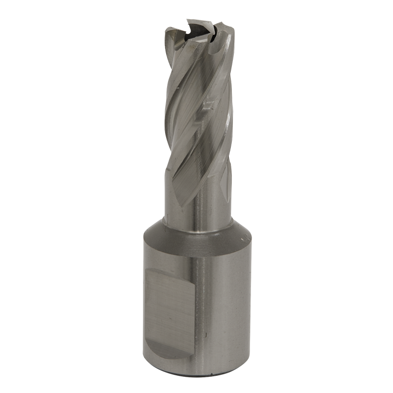 Rotabor Cutter Cobalt M35 - ¯12mm - Cut Depth 25mm | Pipe Manufacturers Ltd..