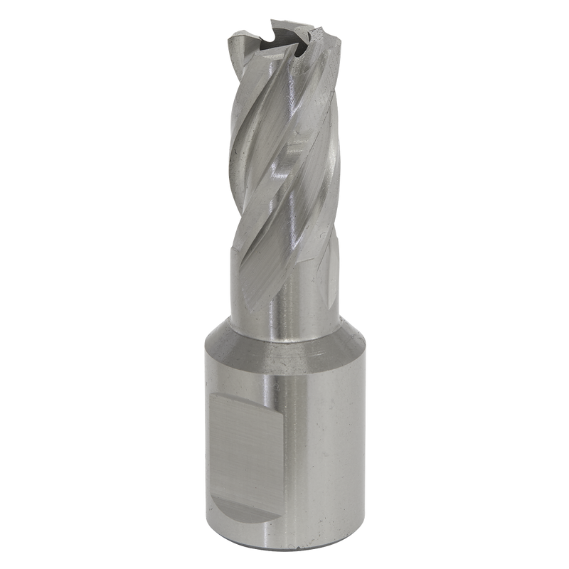 Rotabor Cutter HSS ¯12mm - Cut Depth 25mm | Pipe Manufacturers Ltd..
