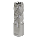 Rotabor Cutter HSS ¯17mm - Cut Depth 25mm | Pipe Manufacturers Ltd..