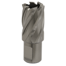 Rotabor Cutter HSS ¯22mm - Cut Depth 25mm | Pipe Manufacturers Ltd..