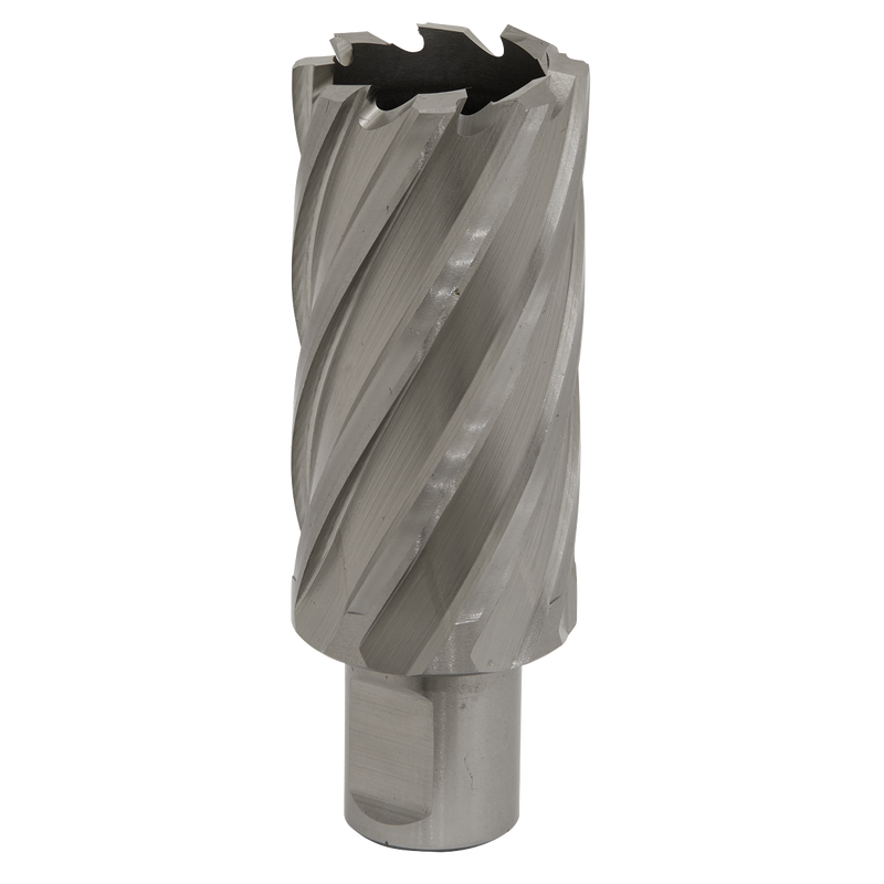 Rotabor Cutter HSS ¯31mm - Cut Depth 50mm | Pipe Manufacturers Ltd..
