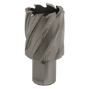 Rotabor Cutter HSS ¯31mm - Cut Depth 25mm | Pipe Manufacturers Ltd..