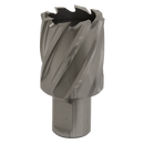 Rotabor Cutter HSS ¯33mm - Cut Depth 25mm | Pipe Manufacturers Ltd..