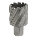 Rotabor Cutter HSS ¯34mm - Cut Depth 25mm | Pipe Manufacturers Ltd..