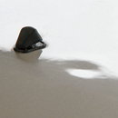 Paintless Dent Repair Kit 33pc | Pipe Manufacturers Ltd..