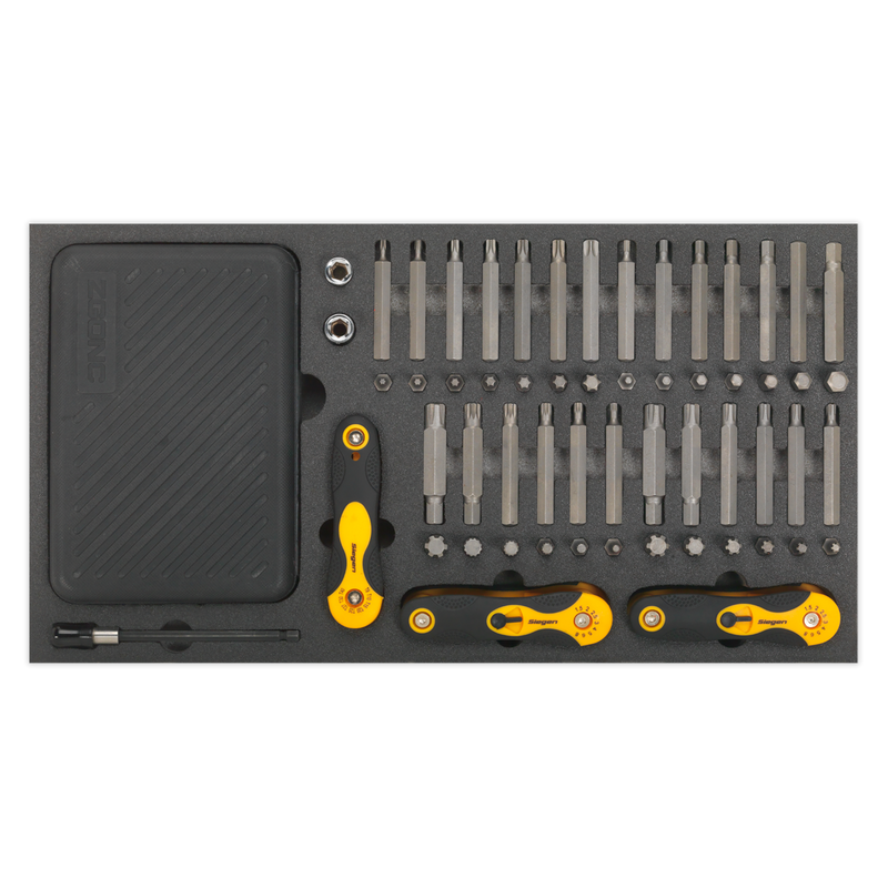 Tool Tray with Specialised Bits & Folding Hex Keys 192pc | Pipe Manufacturers Ltd..