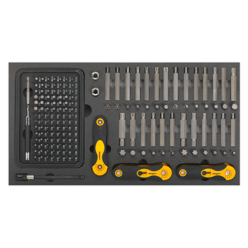 Tool Tray with Specialised Bits & Folding Hex Keys 192pc | Pipe Manufacturers Ltd..