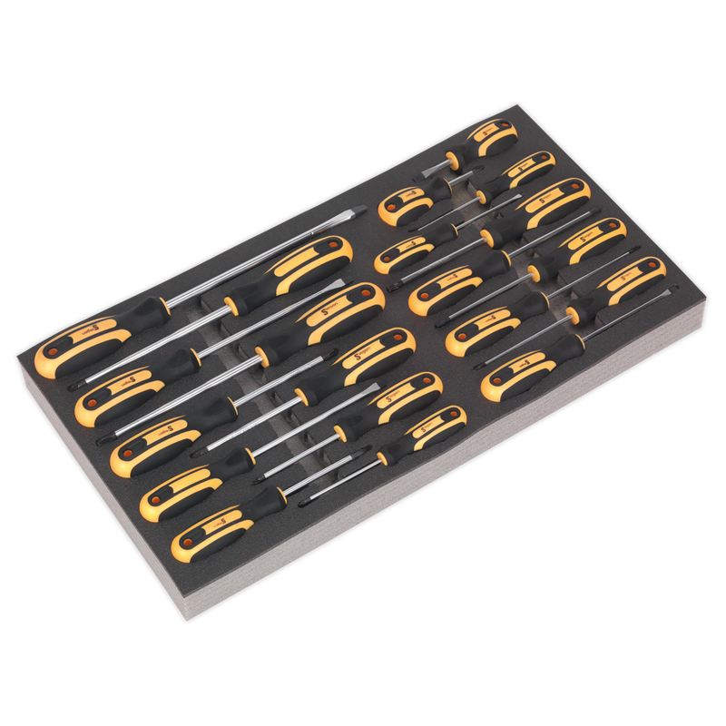 Tool Tray with Screwdriver Set 20pc | Pipe Manufacturers Ltd..