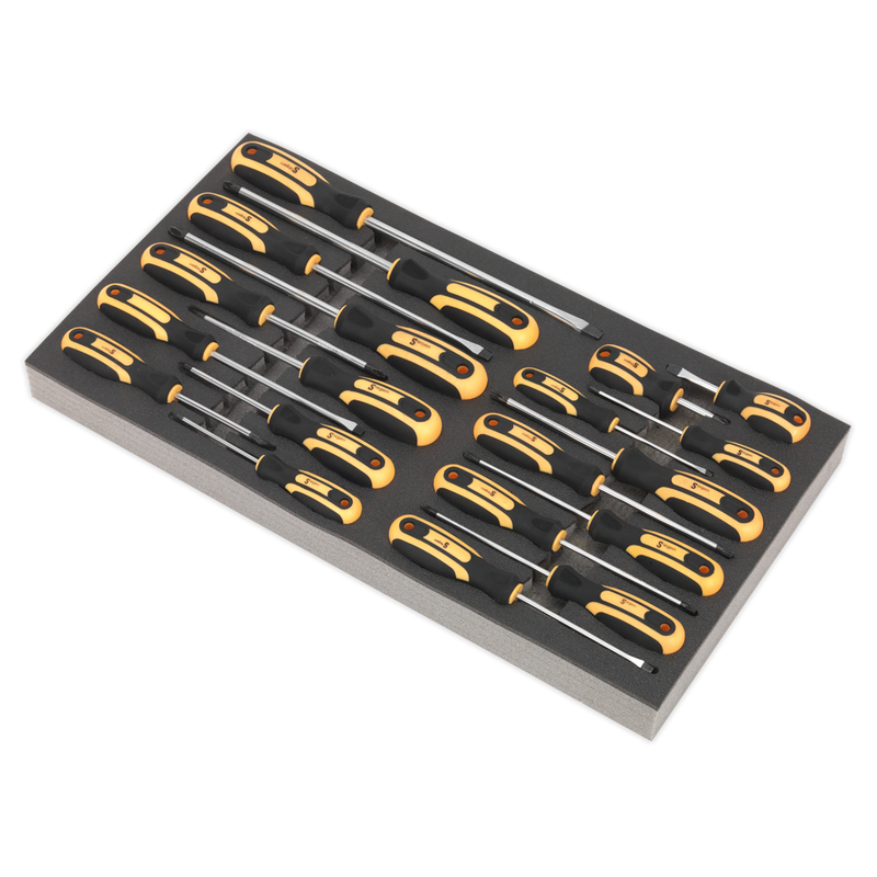Tool Tray with Screwdriver Set 20pc | Pipe Manufacturers Ltd..