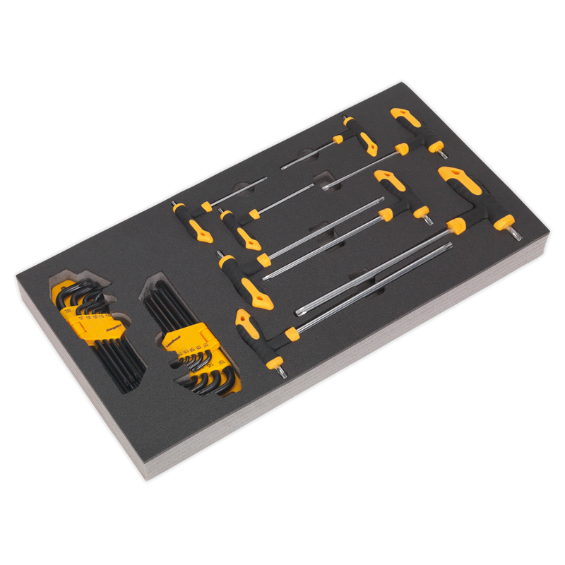Tool Tray with T-Handle & Standard TRX-Star* Key Sets 26pc | Pipe Manufacturers Ltd..