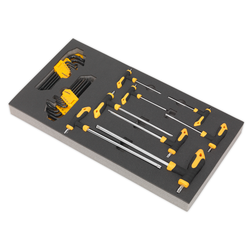 Tool Tray with T-Handle & Standard TRX-Star* Key Sets 26pc | Pipe Manufacturers Ltd..