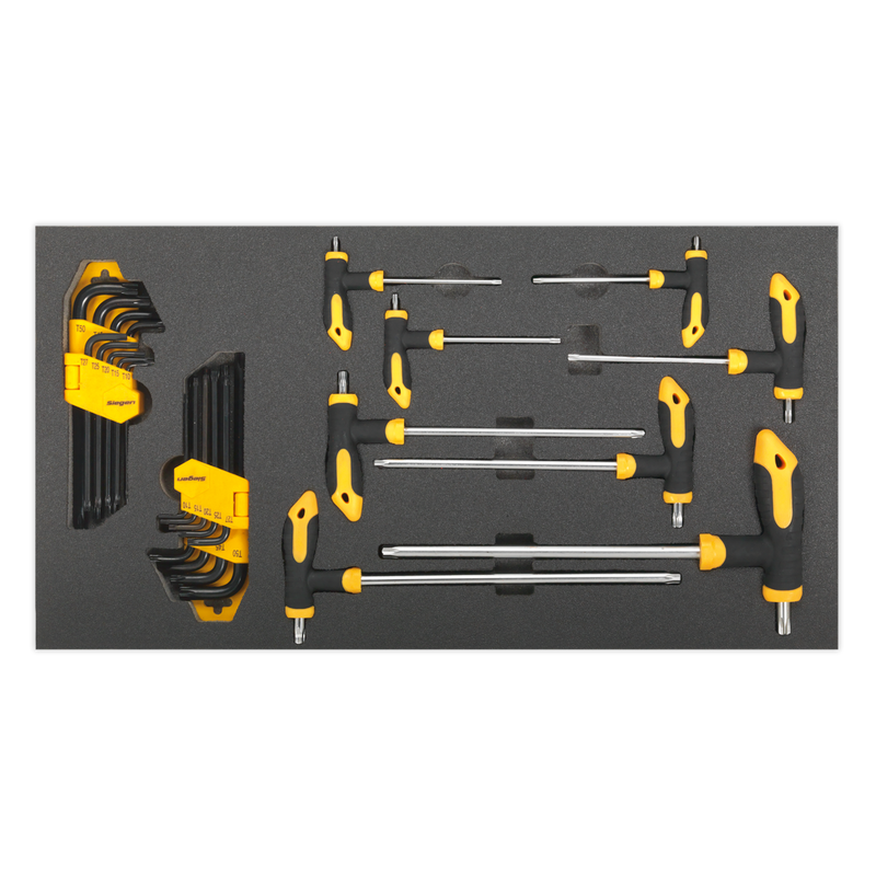 Tool Tray with T-Handle & Standard TRX-Star* Key Sets 26pc | Pipe Manufacturers Ltd..