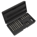Hex Bit & Holder Set 15pc - Metric | Pipe Manufacturers Ltd..