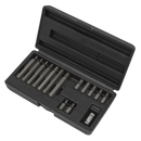 Hex Bit & Holder Set 15pc - Metric | Pipe Manufacturers Ltd..