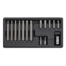 Hex Bit & Holder Set 15pc - Metric | Pipe Manufacturers Ltd..