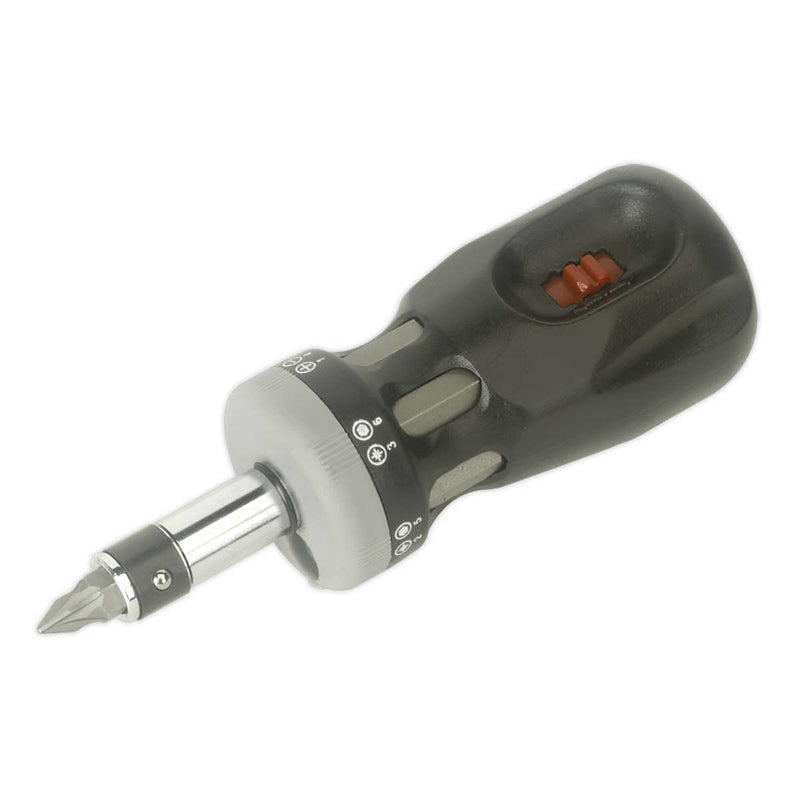 Ratchet Stubby Screwdriver Set 12-in-1 | Pipe Manufacturers Ltd..
