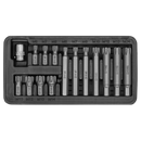 Ribe Bit & Holder Set 15pc - 3/8"Sq Drive | Pipe Manufacturers Ltd..