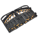 T-Handle TRX-Star* & Hex Key Set 16pc | Pipe Manufacturers Ltd..