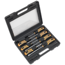 Screwdriver Set 21pc with Storage Case | Pipe Manufacturers Ltd..