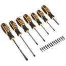 Screwdriver Set 21pc with Storage Case | Pipe Manufacturers Ltd..