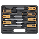 Screwdriver Set 21pc with Storage Case | Pipe Manufacturers Ltd..