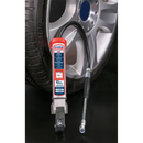 Professional Tyre Inflator with Twin Push-On Connector | Pipe Manufacturers Ltd..