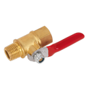 Lever Ball Valve 1/4"BSPT (M) x 1/4"BSP (F) | Pipe Manufacturers Ltd..