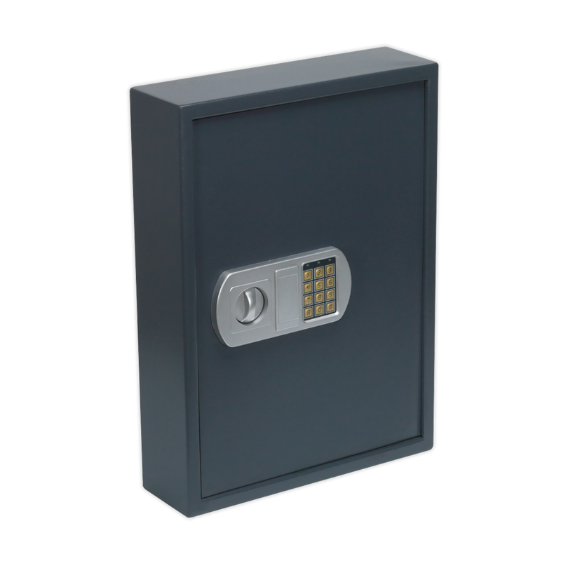 Electronic Key Cabinet 100 Key Capacity | Pipe Manufacturers Ltd..