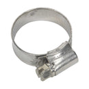 Hose Clip Stainless Steel Pack of 10 | Pipe Manufacturers Ltd..