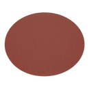 Sanding Disc ¯305mm 80Grit PSA | Pipe Manufacturers Ltd..