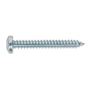 Self Tapping Screw 4.8 x 38mm Pan Head Pozi Zinc DIN 7981CZ Pack of 100 | Pipe Manufacturers Ltd..