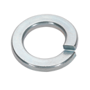 Spring Washer M16 Zinc DIN 127B Pack of 50 | Pipe Manufacturers Ltd..