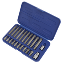 Ribe Bit Set 22pc 3/8" & 1/2"Sq Drive | Pipe Manufacturers Ltd..